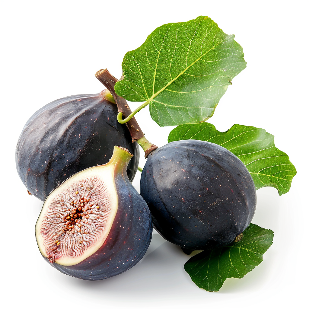 fig.png